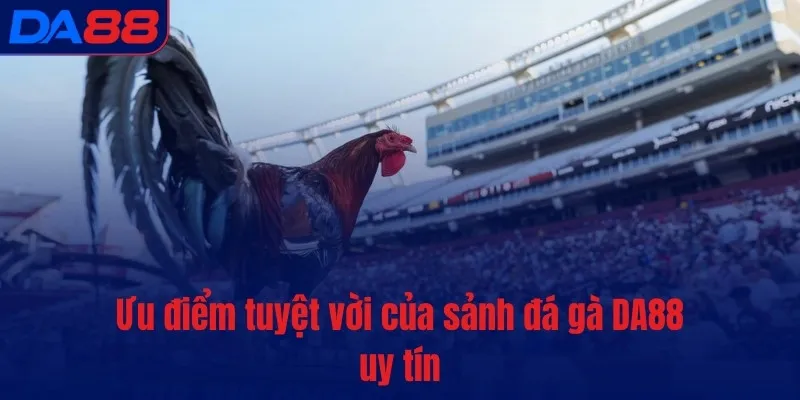 Ưu điểm tuyệt vời của sảnh đá gà DA88 uy tín